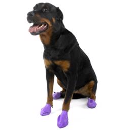 Hunde engangs sko i natur gummi lilla